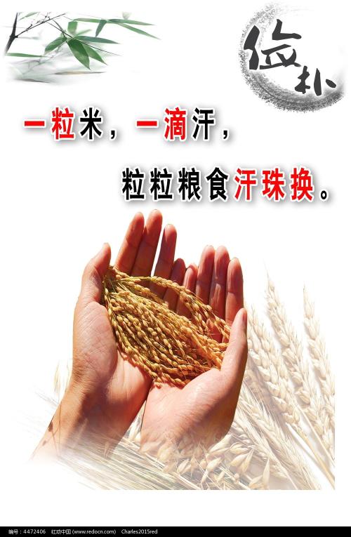 高中毕业证照片2018年